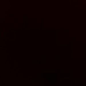 Meet your Posher, Maddie